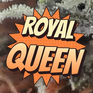 Royal Queen Cannabis Strain