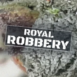 Royal Robbery Cannabis Strain
