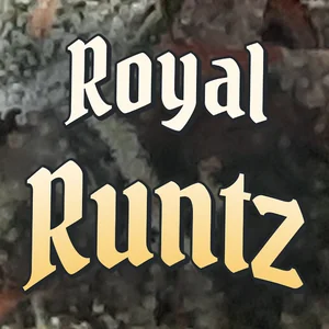 Royal Runtz Cannabis Strain