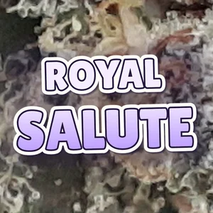 Royal Salute Cannabis Strain