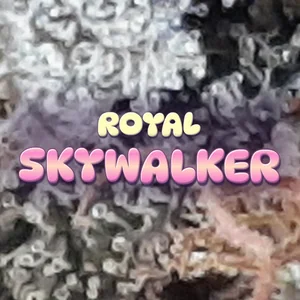 Royal Skywalker Cannabis Strain