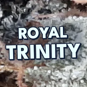 Royal Trinity Cannabis Strain