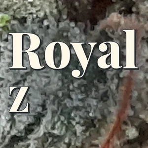Royal Z Cannabis Strain