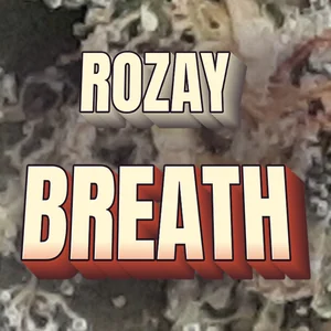 Rozay Breath Cannabis Strain