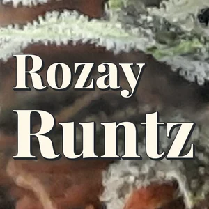 Rozay Runtz Cannabis Strain