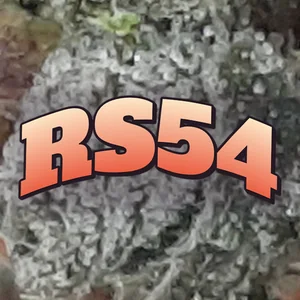 RS54 Cannabis Strain