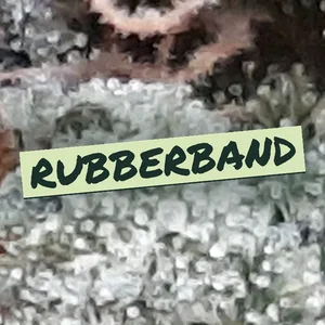 Rubberband Cannabis Strain