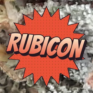Rubicon Cannabis Strain