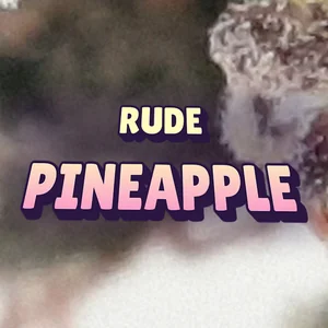 Rude Pineapple Cannabis Strain