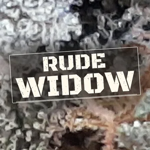Rude Widow Cannabis Strain