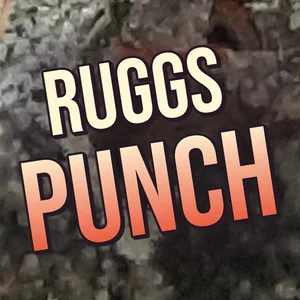 Ruggs Punch Cannabis Strain