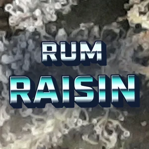 Rum Raisin Cannabis Strain