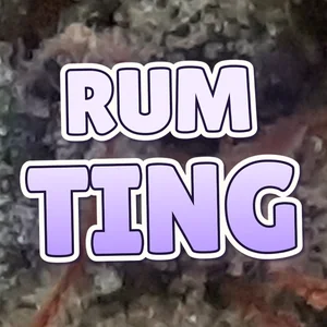 Rum Ting Cannabis Strain