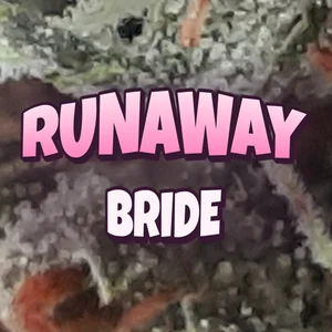 Runaway Bride Cannabis Strain