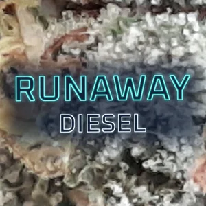 Runaway Diesel Cannabis Strain