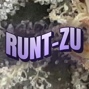 Runt-zu Cannabis Strain