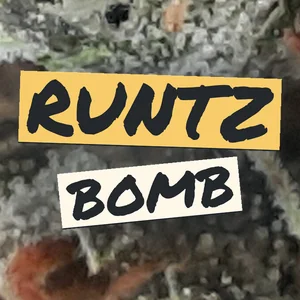 Runtz Bomb Cannabis Strain