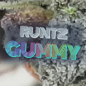 Runtz Gummy Cannabis Strain