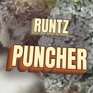 Runtz Puncher Cannabis Strain