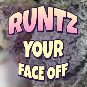 Runtz Your Face Off Cannabis Strain