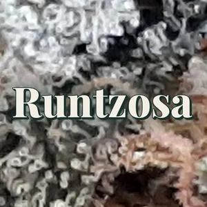 Runtzosa Cannabis Strain