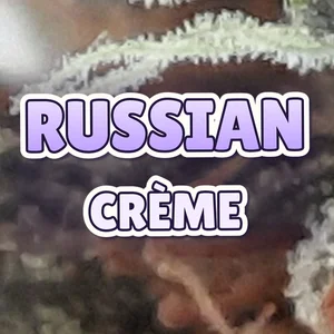 Russian Crème Cannabis Strain