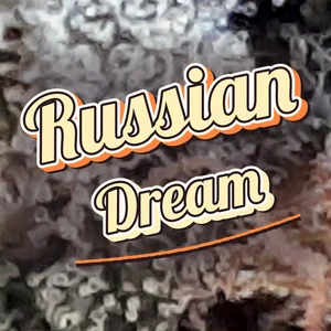 Russian Dream Cannabis Strain