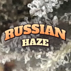 Russian Haze Cannabis Strain