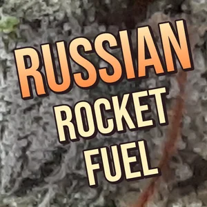 Russian Rocket Fuel Cannabis Strain