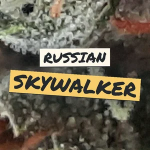 Russian Skywalker Cannabis Strain