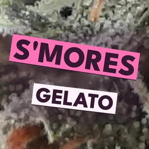 S'mores Gelato Cannabis Strain