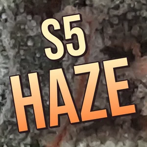 S5 Haze Cannabis Strain
