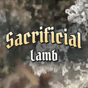 Sacrificial Lamb Cannabis Strain