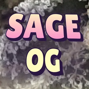Sage OG Cannabis Strain