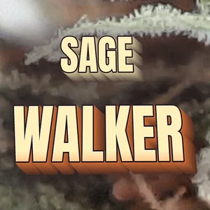 SAGE Walker Cannabis Strain