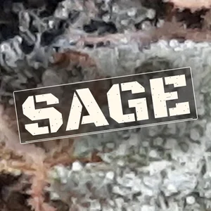 Sage Cannabis Strain