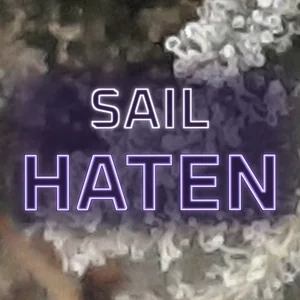 Sail Haten Cannabis Strain
