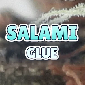 Salami Glue Cannabis Strain