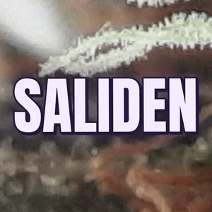 Saliden Cannabis Strain