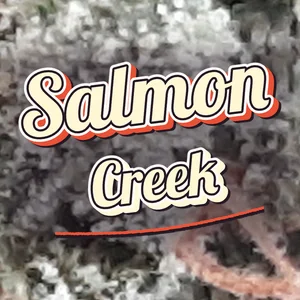 Salmon Creek Cannabis Strain