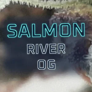Salmon River OG Cannabis Strain