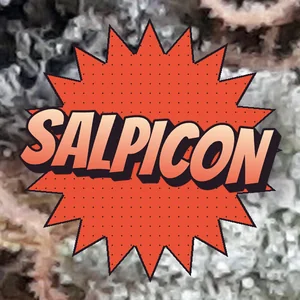 Salpicon Cannabis Strain