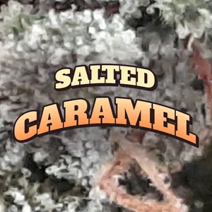 Salted Caramel Cannabis Strain