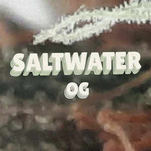 Saltwater OG Cannabis Strain