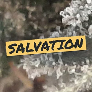 Salvation Cannabis Strain