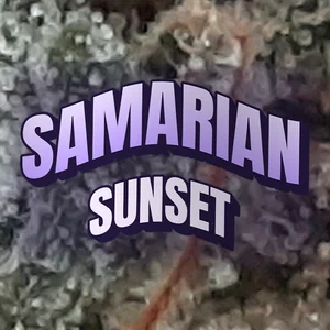 Samarian Sunset Cannabis Strain