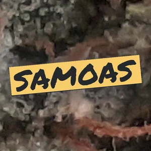 Samoas Cannabis Strain