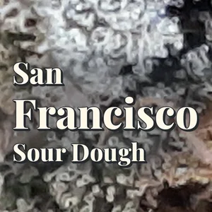 San Francisco Sour Dough Cannabis Strain