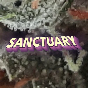 Sanctuary Cannabis Strain