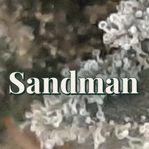 Sandman Cannabis Strain